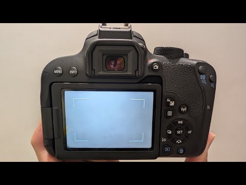 Video Recording Tutorial on Canon EOS 800D