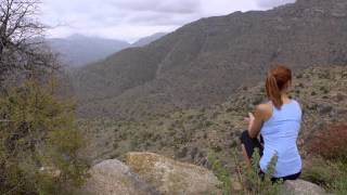 Things to Do in Tucson