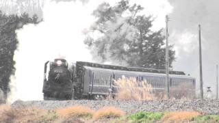 SL湯けむり号　D51　試9725レ　20101215