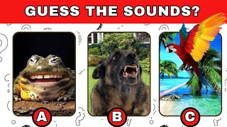 Guess the Sound Game | 20 Sounds to Guess
