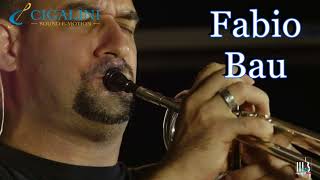 Cigalini Testimonials