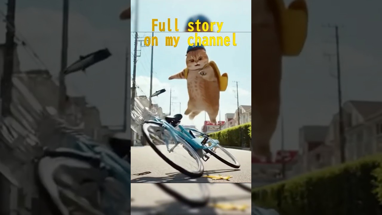 Bike-Riding Cat Slips, Then Gets a Store Warning 🐾 