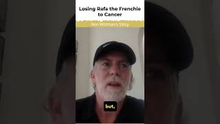 Losing Rafa The Frenchie To Cancer - Ron Wittman