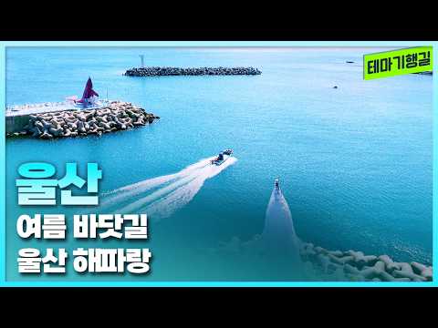 여름 바닷길 울산 해파랑 | 테마기행길 260821방송