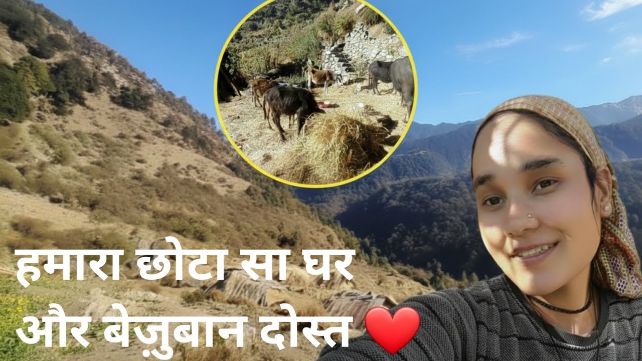 हमारा छोटा सा घर और बेज़ुबान दोस्त ❤️