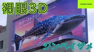 【裸眼3D】【西オーストラリア政府観光局提供映像】 screenshot 3