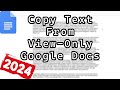 How to Copy Text From Protected View Only Google Docs (2024)
