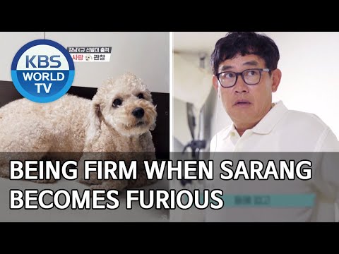 Being firm when Sarang becomes <strong>furious</strong> [Dogs are incredible/ENG/2020.07.01]