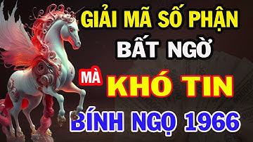 “Dấu Ấn Trời Định: BÍNH NGỌ 1966  sau Bão Tố Cuộc Đời, Là Những Chuyện  Bất Ngờ Và Khó Tin”.