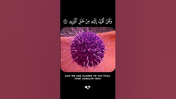 ولقد خلقنا الانسان ونعلم ما توسوس به نفسه ✅ اسلام صبحي | سورة ق #اسلام_صبحي