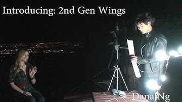 Wing Light Flash Diffuser, Second Gen Wings!