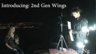 Wing Light Flash Diffuser, Second Gen Wings!