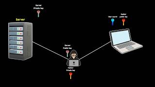 Can Hackers Break HTTPS SSL TLS & Vault Attack Explained