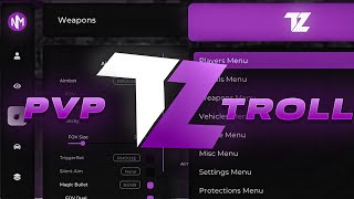 TZ PROJECT BEST INTERNAL PVP TOOL - SHOWCASE Net Worth