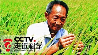 《走近科学》锄禾者新说(下) 20180207 | CCTV走近科学官方频道