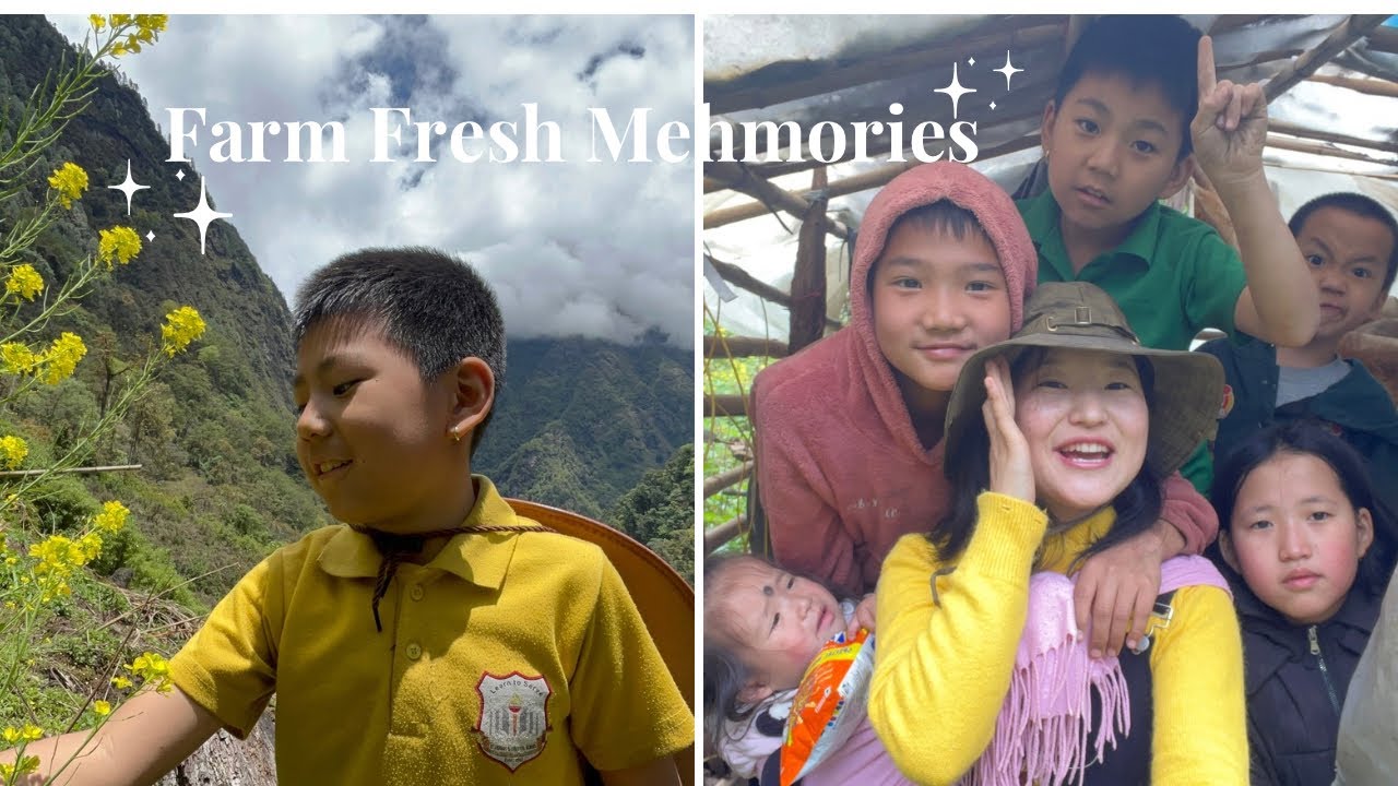 Taking My Little Cousins on a Farm Picnic 💛 | Village Vlog