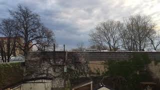 IMG 1808