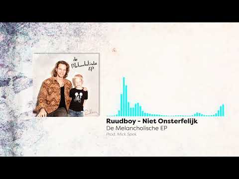 Ruudboy - Niet Onsterfelijk (Official Audio)