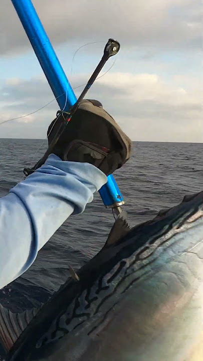 Albacore tuna fishing 