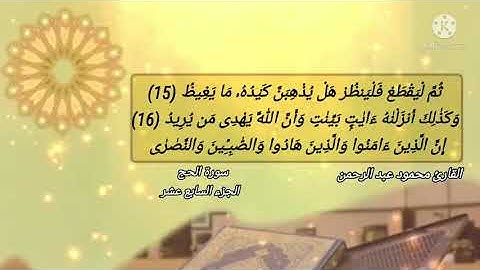 سورة الحج بصوت القارئ | محمود عبد الرحمن