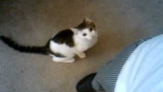 VID 20110223 163720