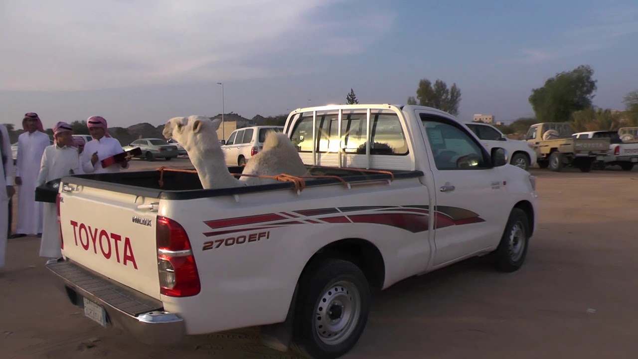 حفل / تمائم سعيد سعد مستور الحارثي