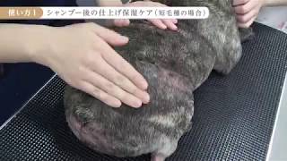 メディケアローション 150ml　犬用スキンケア　4 本セット 皮膚科専属獣医師が開発したペットのスキンケア＆サプリ | 四季
