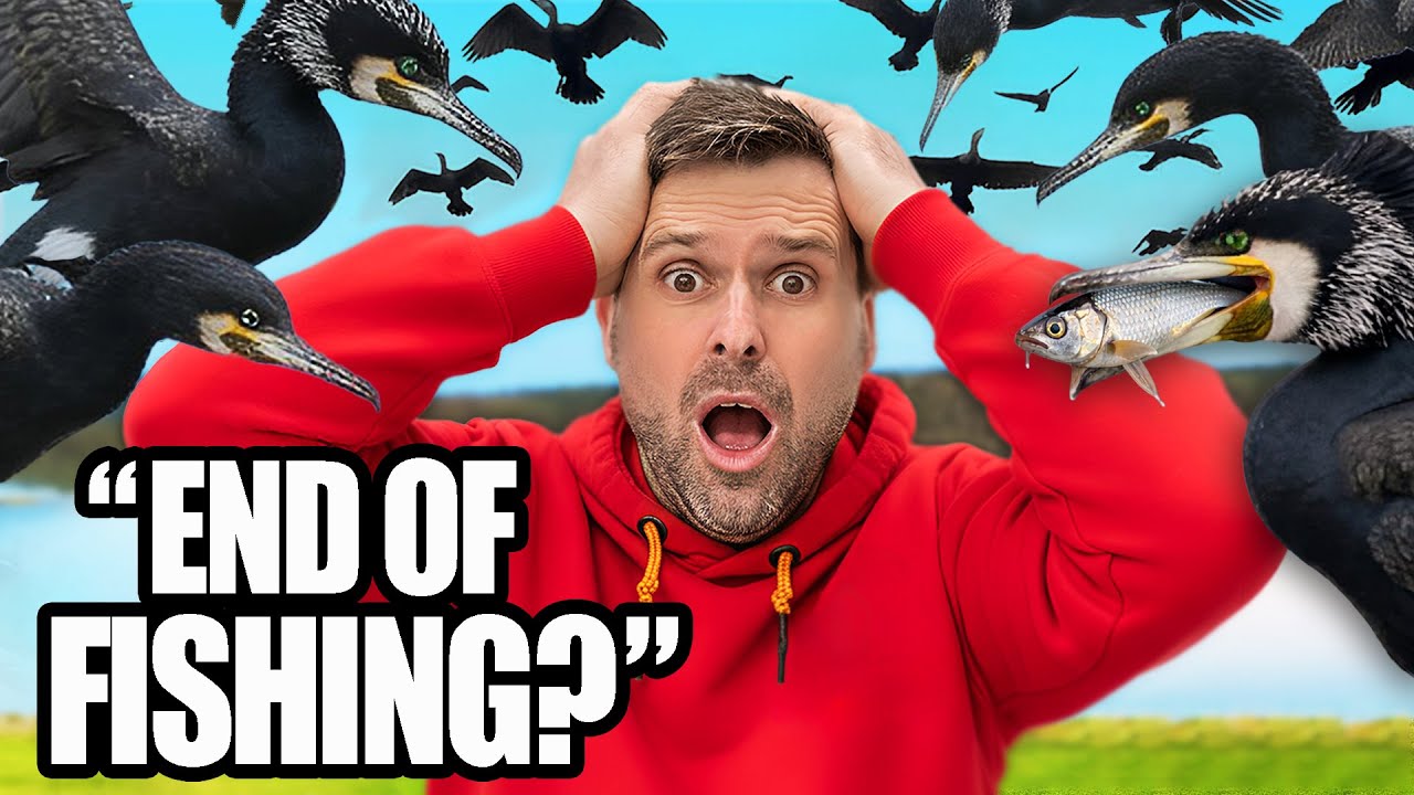 They Are KILLING Fisheries! (Can We Stop It?) - Guru Podcast The Weigh-In 