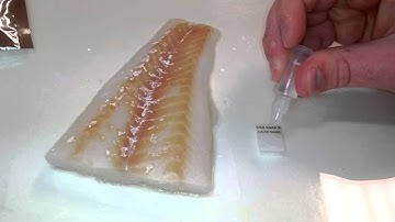 Demonstration of the FRMSWB-04 Formaldehyde Swab Detector.