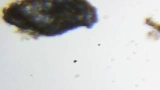360 microscope