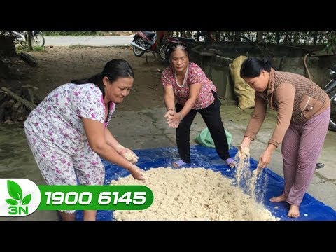 Video Tư vấn cách ủ men thức ăn cho vật nuôi | VTC16 - youtube