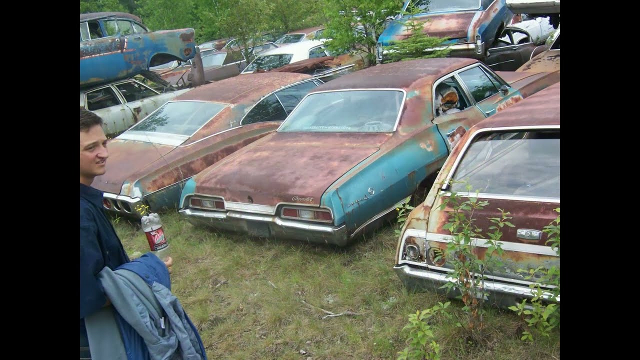 Deep in a Wisconsin Forest - 1278 Cars - ALL or Nothing