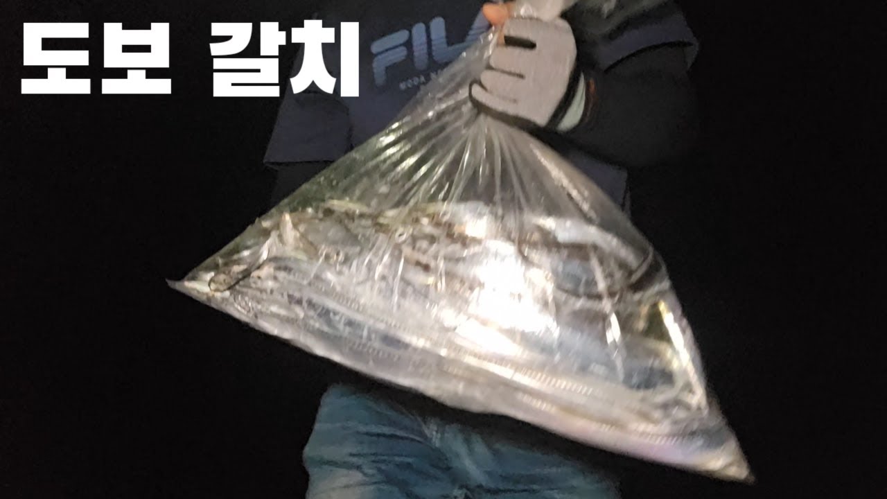 도보권 갈치가 느나느나 합니다 !!! 정말 재밌네요 !!! 갈치루어/풀치루어/갈치낚시/풀치낚시