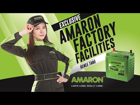 Amaron Automotive Battery Hsn Code