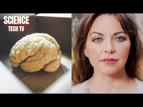 How SSRI Antidepressants Actually Work Inside Your Brain | Full Documentary