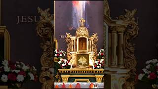 பிரம்மாண்ட தேவாலயம் #jesus #madha #tamilchristian #christianshorts #sacredheart #kelambakkam #prayer
