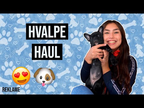 Video: Top Hvalpe Navne I