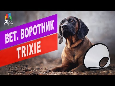 Вет. воротник Trixie Protective Collar | Trixie Protective Collar review