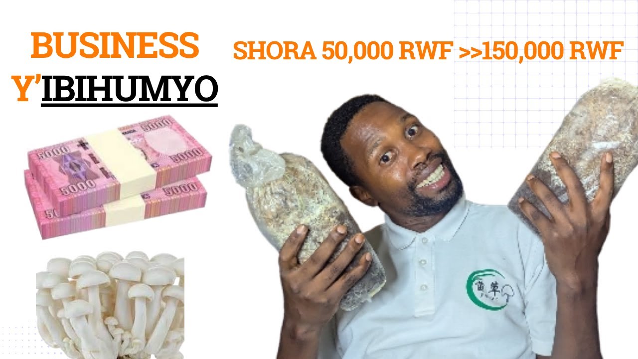 Dore Business y’Ibihumyo wakoreramo amafaranga | Shora 50,000RWF ubone 150,000RWF  +250784244459
