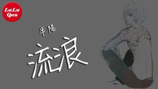 抖音《流浪》半陽【動態歌詞Lyrics】