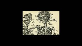 Orquestra Maldita Brazil Phonk