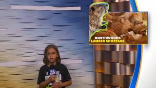State Fair Experience Day 12 Session 128
