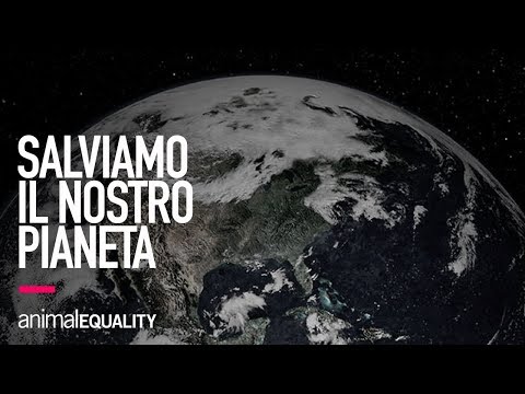 🌍 Come salveremo il nostro pianeta?