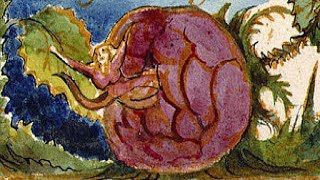Worm Song (Lyrics) - From Evil LP 2010