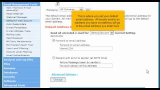 How to create a default (catch-all) email account in cPanel