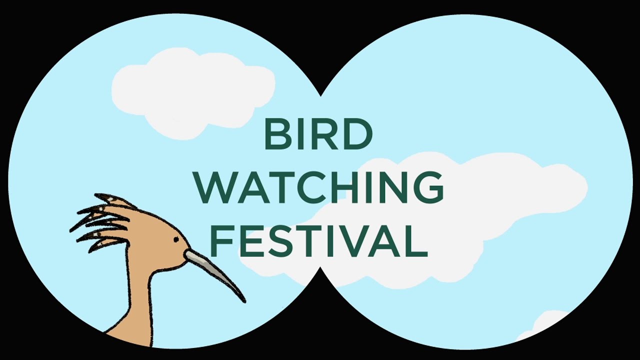 Ellie Boland, Bird Watching Festival