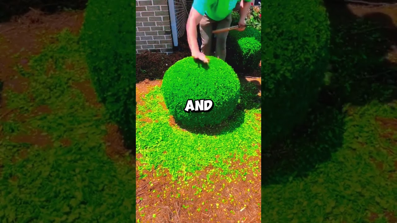 The moment my nephew grabbed my son's new birthday bike andannounced,"Dad says what's yours 