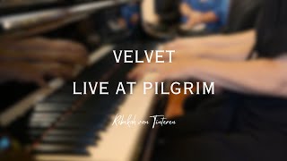VELVET - LIVE AT PILGRIM | REBEKAH VAN TINTEREN