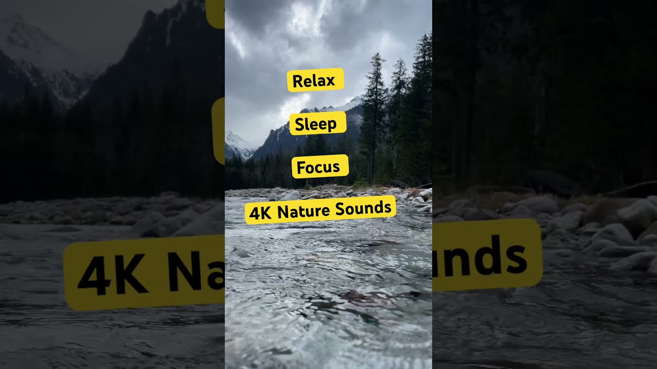 Relax with nature 🌿4K ambient sounds for sleep, focus and stress relief. 