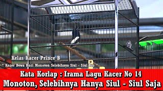 THR Cup Masterpiece - Kacer Dewa Ruci Dikelas Prince B Yang Dinilai Cuma Andalin Suara Siulan